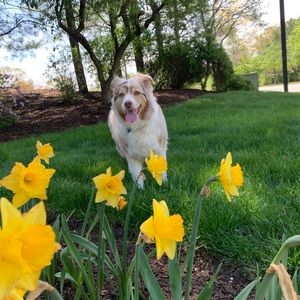 Meet your Posher, Allison